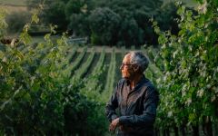 TOR Reflections of a Vintner Winery Image