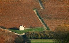 Luciano Sandrone Winery Image