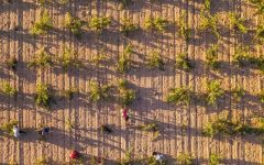 Amalinda Harvest Winery Image