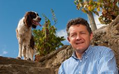 Graham's RADS & Chili Vineyard Winery Image