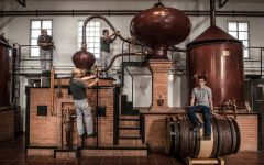 Hennessy Hennessy Distillery Winery Image