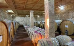 Gulp Hablo Barrels Winery Image
