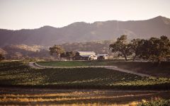 Ancient Peaks Margarita Vineyard and Oyster Ridge Barn Winery Image