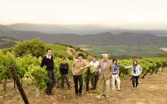Terra Vega Family Winegrowers Since 1976 Winery Image