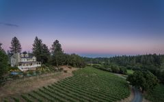 Lail Vineyards Mole Hill Winery Image