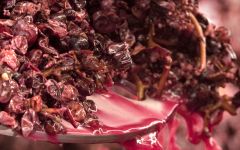 Chanson Pere & Fils Whole cluster vinification Winery Image