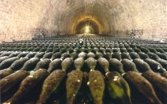 Delas Freres Delas Cellar Winery Image