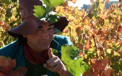 Torre de Ona by La Rioja Alta  Winery Image