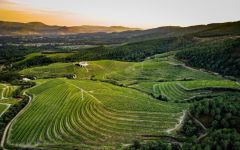 La Val Vilachán  Winery Image