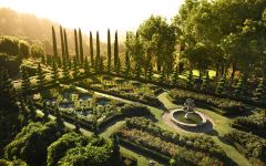 Newton Vineyard Winery Image