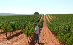 Fuenteseca  Winery Image