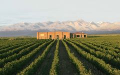 Andeluna Winery Image