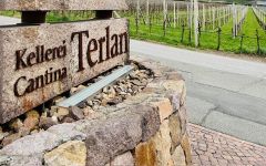 Cantina Terlan Cantina Terlano Winery Entrance Winery Image