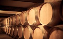 Chateau Martinet Winery Image