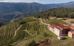 Bodegas Rectoral de Amandi Winery Winery Image