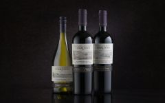 Terrunyo Winery Image