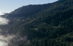 Mt. Brave Winery Image