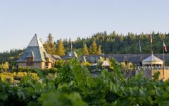 Francis Ford Coppola Winery Coppola Tasting Room Winery Image