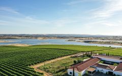 Herdade Do Esporao Esporoa's Restaurant and Tourism Center Winery Image