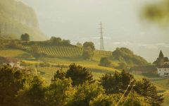 J. Hofstatter Winery Image