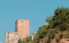 Cantina Terlan Castle Ruins Winery Image