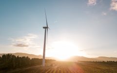 Sunny With a Chance of Flowers Certified Sustainable Winery Image