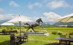 Stonestreet Picnic on the Patio Winery Image