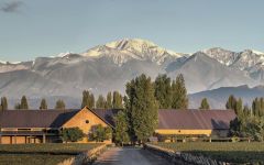 Crios de Susana Balbo Crios Estate Winery Image