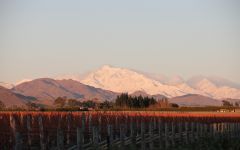 Vavasour Winery Image