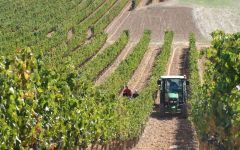 Vizcarra Winery Image