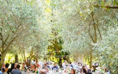 Dog Point Vineyard Dog Point Classic Kiwi Picnic Winery Image