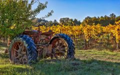Ramey Tractor at Estate Winery Image