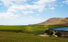 Cambria Winery Winery Image