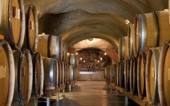 Archery Summit Winery Barrels in the Cave Winery Image