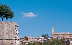 San Filippo Winery Image