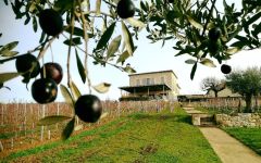 Tour Saint Christophe Winery Image