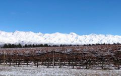 Andeluna Winery Image