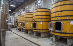 Long Shadows Vintners 55 Hectolitre Upright French Oak Tanks Winery Image