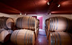 Chateau Pey La Tour Chateau Pey la Tour Cellars Winery Image