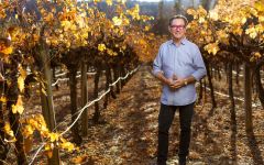 RouteStock Vance in the Vineyard  Winery Image