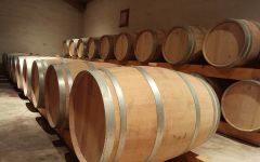 Chateau La Fleur Saint-Bonnet Cellar Winery Image