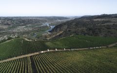 Leyda Leyda Vineyard Harvest Winery Image