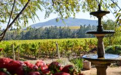 Amayna Amayna Winery Winery Image