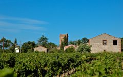 Domaine Lafage Vineyard and Domaine Winery Image