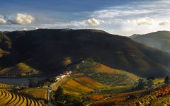 Quinta do Crasto Quinta do Crasto Winery Image