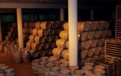 Bodegas Nekeas Winery Image