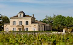 Chateau Montrose 2008 | Wine.com