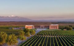 Baron Edmond de Rothschild Estate Winery Image