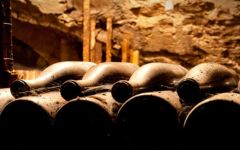 Colin Barollet Cellar Winery Image