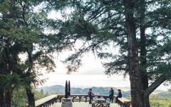 Mayacamas Hunter's Camp Winery Image